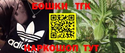 индика Донецк