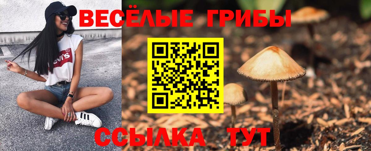 Мелеуз  Псилоцибиновые грибы Magic Shrooms  Вход с VPN 